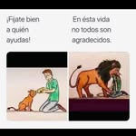 Ramiro Pando - @pando1486 - Instagram