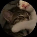 Juan Ramiro - @juan.ramiro.pantoja.diaz - Instagram