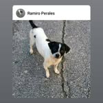 ramiro perales - @perales3103 - Instagram