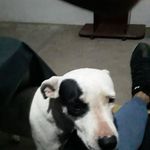 Ramiro Martin Puente - @ramiromartinpuente - Instagram