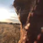 Ramiro Quiñones - @arti_fisial - Instagram