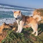 Ramiro Pérez Rabago - @rabago64 - Instagram