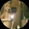 Ramiro Ramires - @ramiroramires71 - TikTok