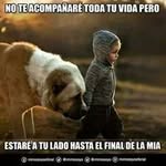 Ramiro Ramon - @ramiro6378 - Instagram