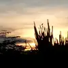 RRRR - @ramiro.revilla6 - TikTok