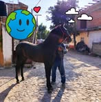 Ramiro Rico - Facebook