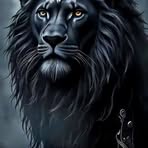 Ramiro Rico - Facebook