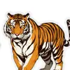 el  tigre de Guatemala  502 - @ramiroroca41 - TikTok