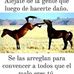 Ramiro Zarate - Facebook