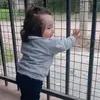 Ramiro Zarate - @ramirozarate1 - TikTok