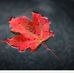 Ramji Iyer - Facebook