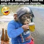 Alba Ramon - @ramon.alba.714 - Instagram