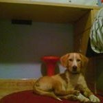 Ramon Maria Paris Almaraz - @parisalmaraz - Instagram