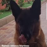 Ramon Atienza - @atienza6865 - Instagram