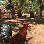 Ramon Atienza - @ramon_atienza - Instagram