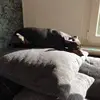 ramonabaumann77 - @ramonabaumann77 - TikTok