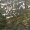 🤍🤍 - @birdramon10 - TikTok