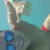 Ramon Cancel - @ramon.cancel5 - TikTok
