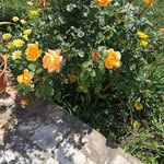 Jose Ramón Catalán Ovejano - @catalanovejano - Instagram