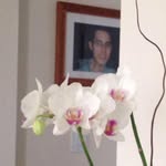 Ramon Catalan - @ramon.catalan2 - Instagram