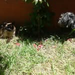 Ramon & Concha - @_ramon_y_concha_ - Instagram