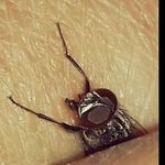 @ramon_fulleru - Instagram