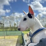 Ramon Jacobs - @rabj1963 - Instagram