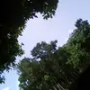 Ramon Jaquez - @ramon.jaquez94 - TikTok