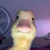 Ramon Jenkins - @ramonjenkins539 - TikTok
