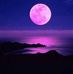 Ramona Jenkins - Facebook