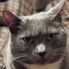 ramonabaldonilake - @ramonabaldonilake - TikTok