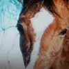 Ramona Lawson - @ramona.lawson - TikTok