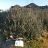 Ramon Lazo - @ramon.lazo3 - TikTok