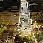 Ramon Leiva - @ramon.leiva.5477 - Instagram