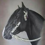 Ramòn Lizama - @ramon.lizama.9 - Instagram