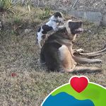 Ramon Lora - @ramon.lora.3538 - Instagram