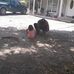 Ramon Luis - Facebook