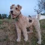 Ramon Maya - @ramonmaya4940 - Instagram