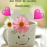 Ramon Mendivil - @ramon.mendivil.9235 - Instagram
