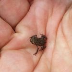 Ramon Meyer - @meyer777788 - Instagram