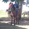 @RAMON MIRABAL - @user4041630310521 - TikTok