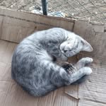 Ramón Alberto Cruz Monroe - @ramonalbertocruzmonroe - Instagram