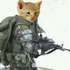 Ramon Parada - @ramon.parada61 - TikTok