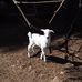 Ramon Partida - Facebook