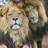 Ramon Briceno - @ramon.briceno5 - TikTok