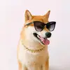 RamonNPrice - @ramonnprice - TikTok
