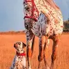 Ramon Rincon - @ramon.rincon00 - TikTok