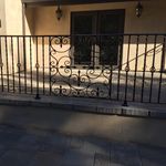 Ramon - @ramon_and_rockythedog - Instagram