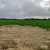 Ramon Serna - @ramon.serna00 - TikTok