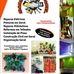 Ramon Silverio - Facebook